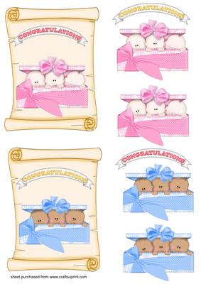 Boy and Girl New Baby Toppers