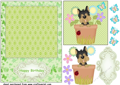 Green birthday pooch card front