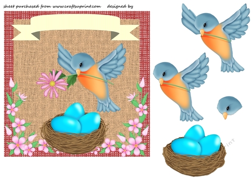 Spring blue bird card front