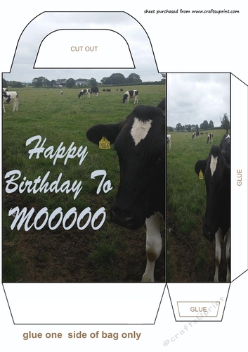Happy Birthday to MOOOOOOOO gift bag