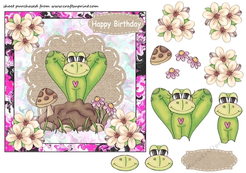Pink floral froggy birthday card front