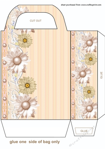 Soft orange floral gift bag