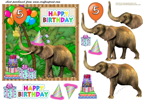 Age 5 Birthday elephant card front
