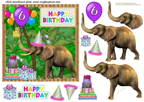 Age 6 Birthday elephant card front