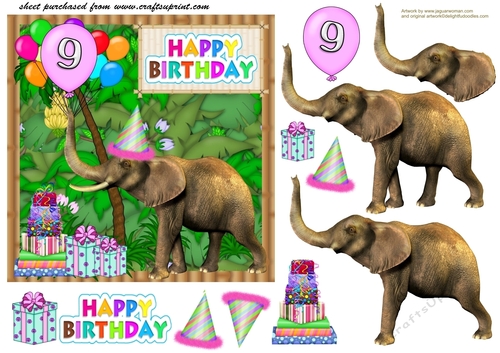 Age 9 Birthday elephant card front