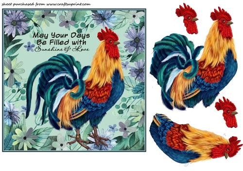 Blue Rooster may your days card front