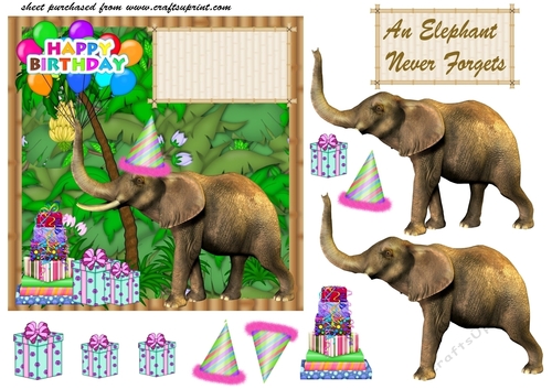 An elephant never forgets Birthday card front