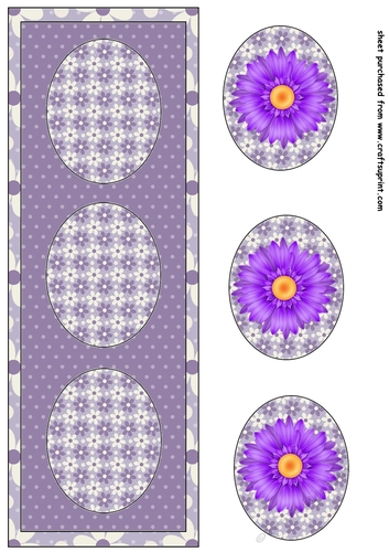 purple gerbera daisy trio card front