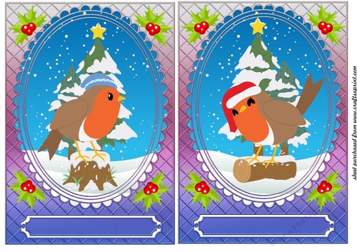 2 Cute Christmas robins card fronts