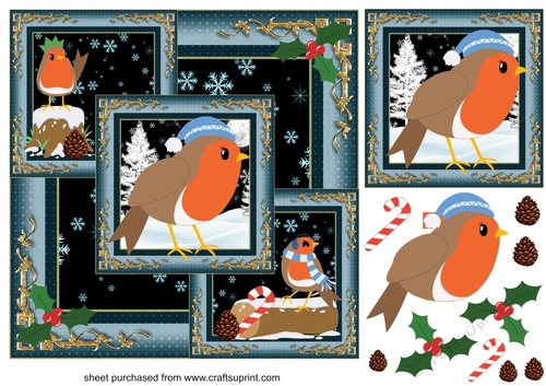All about the robins framed Christmas card front