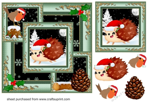 All about the hedgehog and robin card front