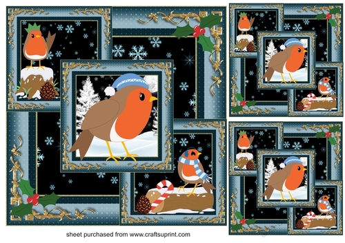 3 All about the Christmas robins card fronts/toppers