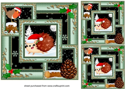3 All about the hedgehog and robin card fronts/toppers