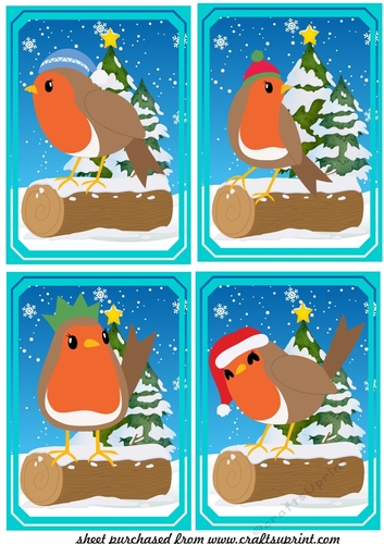 4 All about the robins toppers 1