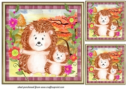 3 Framed cute hedgehog card fronts/toppers