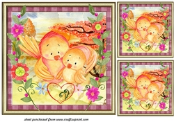3 Framed cute birds card fronts/toppers
