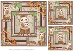 3 All about the owls card fronts/toppers