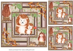 3 All about the hedgehogs card fronts/toppers