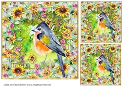 3 All about the birds card fronts/toppers 5