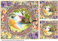 3 All about the birds card fronts/toppers 1