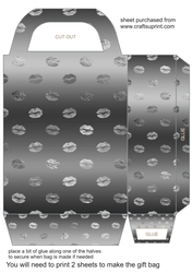 Silver bling gift bag 4