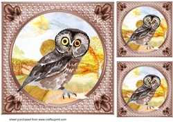 3 Water colour owl card fronts/toppers 2