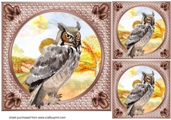 3 Water colour owl card fronts/toppers 3