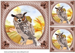 3 Water colour owl card fronts/toppers 4