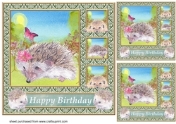 3 Quintet frame Happy Birthday hedgehog card fronts/toppers