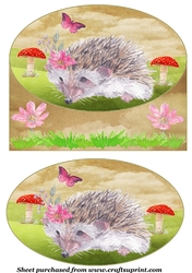 Cute hedgehog card front 1