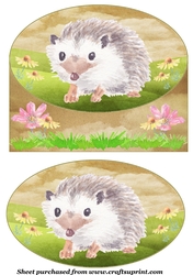 Cute hedgehog card front 3
