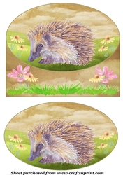 Cute hedgehog card front 4