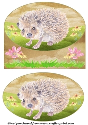 Cute hedgehog card front 5