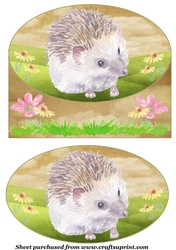 Cute hedgehog card front 6