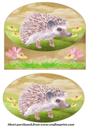 Cute hedgehog card front 7