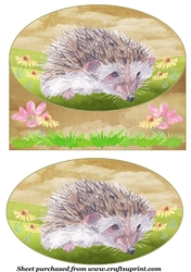 Cute hedgehog card front 8