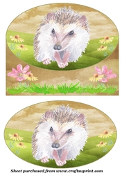 Cute hedgehog card front 9