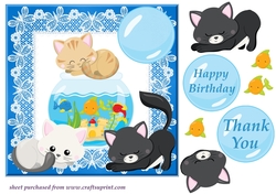 Cat and fish Birthday card front