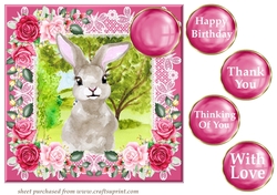 Pink cute bunny card front