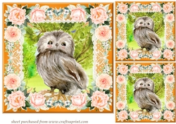 3 Peach cute owl card fronts/toppers