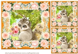 3 Peach cute raccoon card fronts/toppers