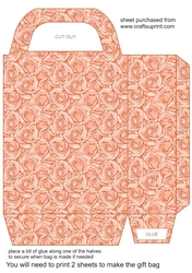 Salmon roses gift bag