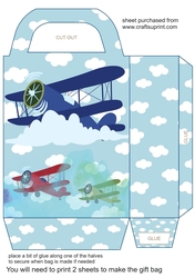 Fly pass gift bag