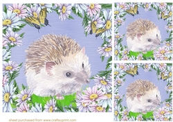 3 Daisy hedgehog card fronts/toppers 1