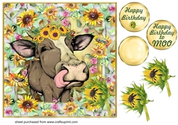 Sunflower cow card front