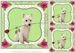 3 Cute dog with rose card fronts/toppers
