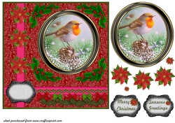 Christmas robin card front 3