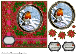 Christmas robin card front 6