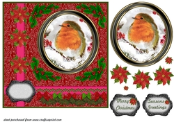 Christmas robin card front 8