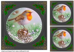 3 Beautiful Christmas robin with black frame card fronts/toppers 2